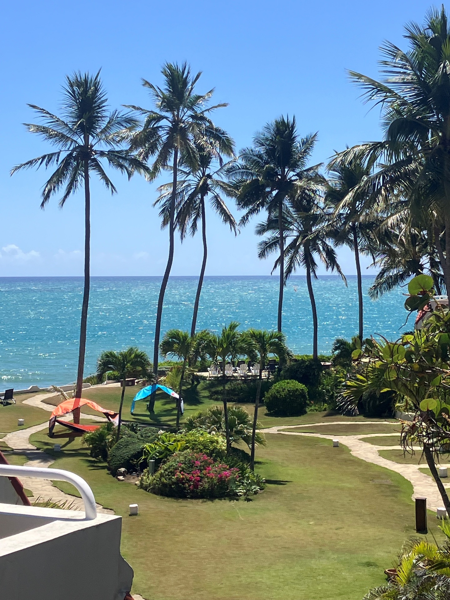 Palms Ocean View